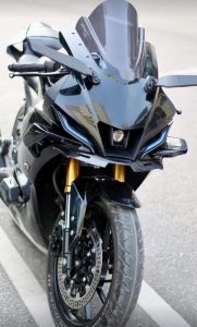 MOTO GP SIDE WINGS R1 SERIES